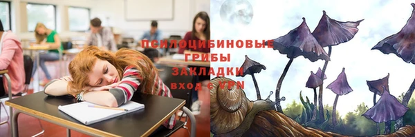 ECSTASY Армянск